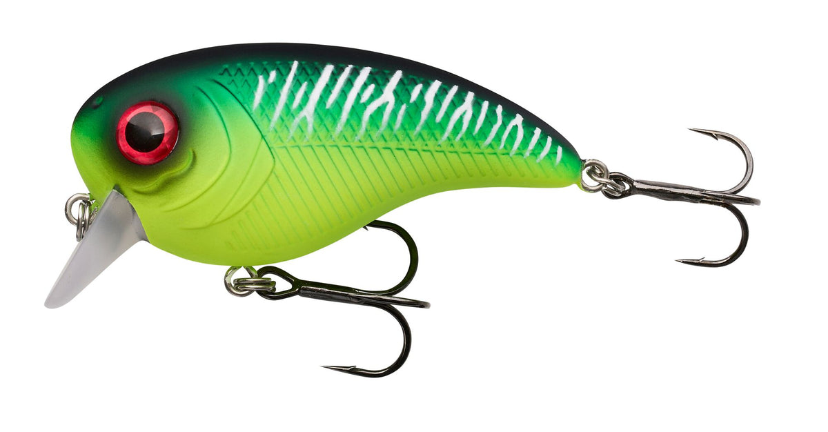 Berkley Pulse Biggie – 1577412.jpg