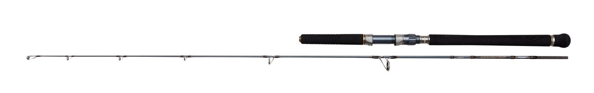 PENN Battalion Solid Jigging Spinning Rod – 1611643.jpg