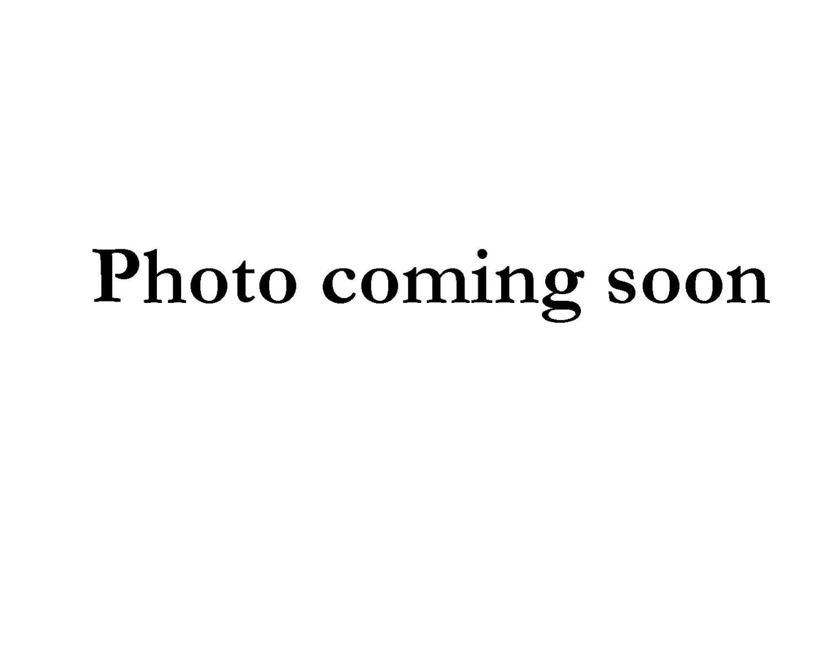 Photo-coming-soon_66e75f95-37ae-4961-9ab3-6f86fa7f4073.jpg