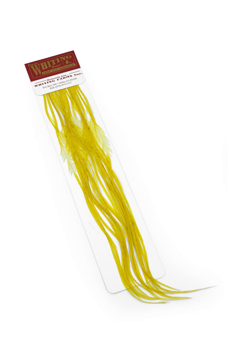 Whiting 100-pk – Size 22 – dealerweb-cms-7d95f340-c1ef-4309-9d42-b3d947791205.jpg