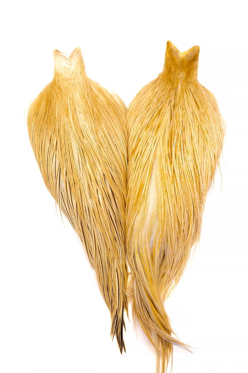 Whiting Heritage Rooster Cape – dealerweb-cms-bc45dc15-aac3-46ae-993b-2e01b89ff40f.jpg