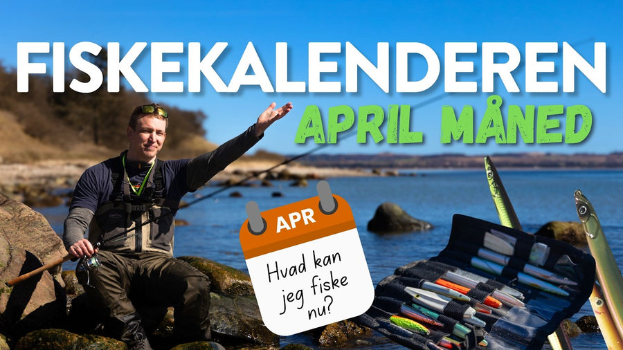 Fiskekalenderen: april – hvad kan du fiske efter?