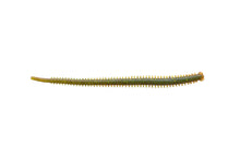 Berkley Gulp!® Saltwater Isome Futomi â€“ 1522983.jpg