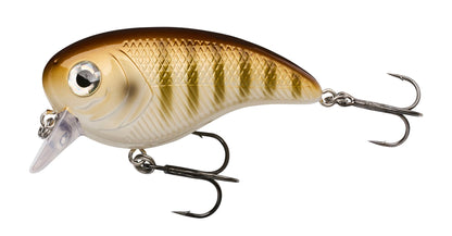 Berkley Pulse Biggie â€“ 1577406.jpg