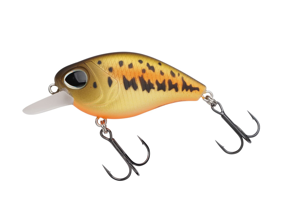 Berkley DEX Thumper â€“ 1590330.jpg