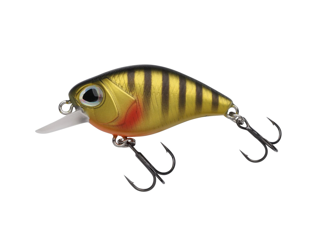 Berkley DEX Thumper â€“ 1600357.jpg