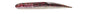 Savage Gear Ned Dragon Tail Slug â€“ 1609043.jpg