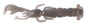 Berkley Gulp!® Saltwater Salty Nipper â€“ 1614171.jpg