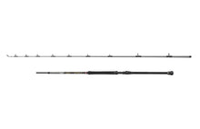 PENN Regiment IV Boat Braid Rod â€“ 1632572.jpg