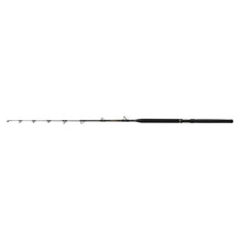 PENN Regiment IV Trolling Rod â€“ 1659687_alt1.jpg