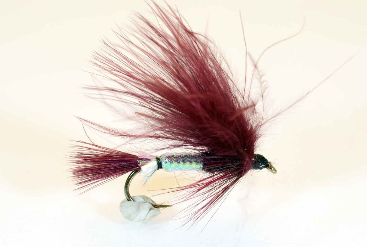 PK Flash No. 9 Kystflue