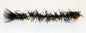 Cactus Borsteorm Black Kystflue