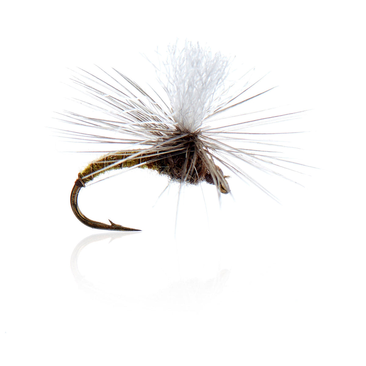 AJF_300119.jpg