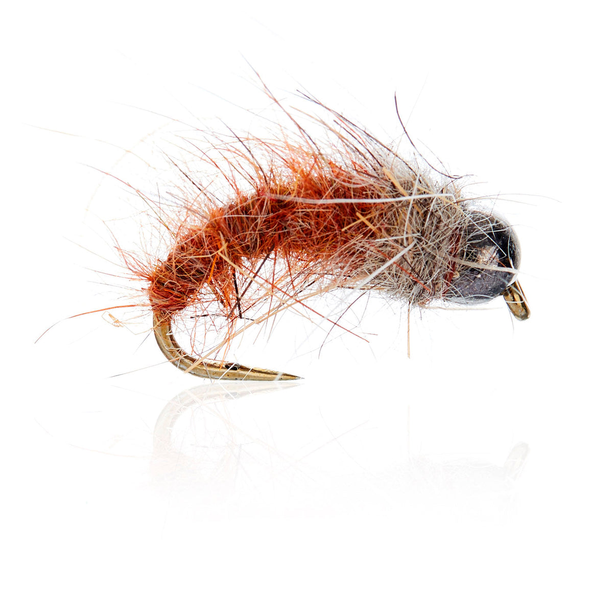 AJF_400310.jpg