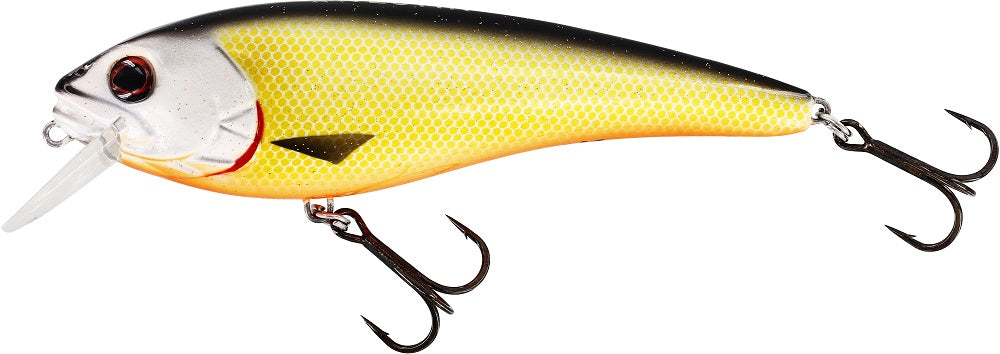 Westin Rawbite 17cm 100g