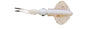 Savage Gear Swim Squid LRF â€“ SVS77336.jpg