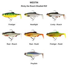 Farveoversigt – Ricky the Roach Shadtail R2f