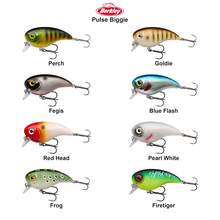 Farveoversigt – Berkley Pulse Biggie