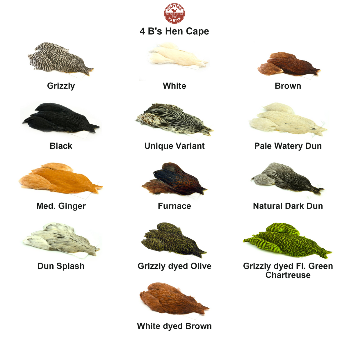 Farveoversigt – Whiting 4 B's Hen Cape