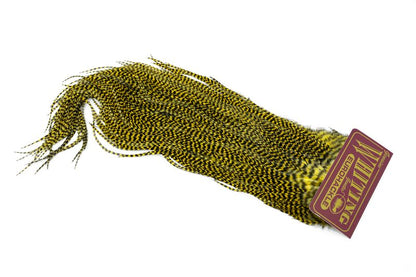 Whiting Eurohackle Saddle â€“ dealerweb-cms-0171d67a-c1f2-4c81-ae1e-73fe3a8f8110.jpg