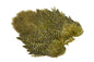 Whiting Rooster SH/C â€“ dealerweb-cms-0a790a7f-86f5-42f3-b153-27ac4785a7e1.jpg