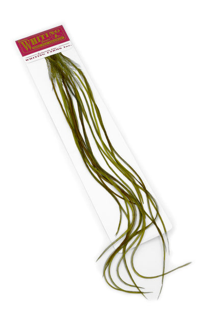Whiting 100-pk – Size 20 â€“ dealerweb-cms-0f4826c9-21fe-411a-a2a9-4dac7c23319f.jpg