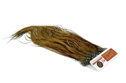 Whiting Rooster Saddle – Bronze â€“ dealerweb-cms-1078365c-4c17-442b-b0a0-773818f53774.jpg