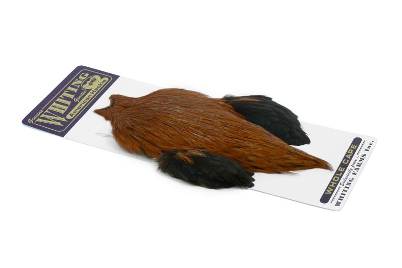 Whiting American Rooster Cape â€“ dealerweb-cms-151ab461-c75b-4c6c-b557-e5f91fc9e468.jpg