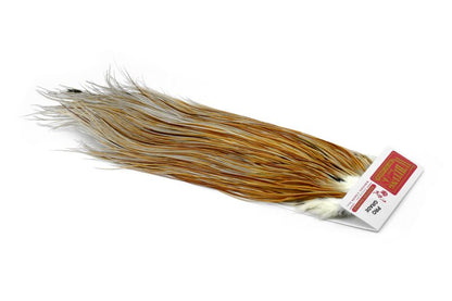 Whiting Rooster Saddle – Pro Grade â€“ dealerweb-cms-18f920b3-8742-4ec5-946f-367a869c244c.jpg