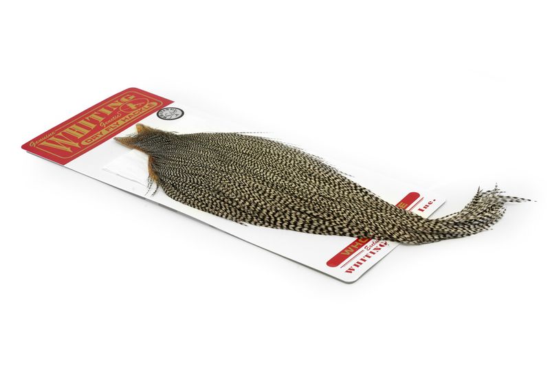 Whiting Rooster Cape – Silver â€“ dealerweb-cms-1e086ddc-297e-4df0-857d-aeb47eb14f98.jpg