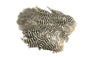 Whiting Rooster SH/C â€“ dealerweb-cms-23058bca-87e3-43d3-a202-354f701b65e2.jpg