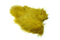 Whiting Spey SH/C â€“ dealerweb-cms-2b1184e8-f0c6-4e22-b079-6cf39c87f594.jpg