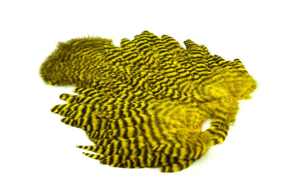 Whiting Rooster SH/C â€“ dealerweb-cms-338e0210-5446-4e37-931c-8df8a480073f.jpg