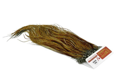Whiting Rooster Saddle – Pro Grade â€“ dealerweb-cms-3c41728e-d9cc-46bc-8c2a-df04d72d253c.jpg