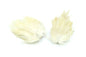Whiting American Streamer Pack â€“ dealerweb-cms-3e40a0e0-1249-4516-b16a-46ed3713e3cb.jpg