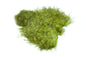 Whiting Spey SH/C â€“ dealerweb-cms-3f2be28b-96ed-45cc-8530-6c7cf9bed603.jpg