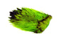 Whiting Brahma Rooster Saddle â€“ dealerweb-cms-433cabad-dfd7-484b-9029-be4cca2f79f4.jpg
