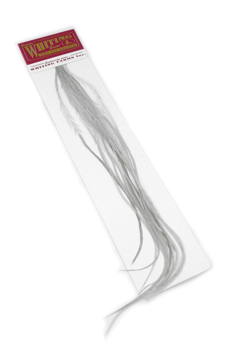 Whiting 100-pk – Size 12 â€“ dealerweb-cms-49547771-3154-486c-9970-a69f060eeba3.jpg