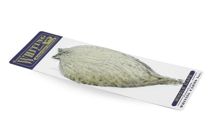 Whiting American Rooster Cape â€“ dealerweb-cms-61b52e6f-e592-447e-be6b-04aea55f9880.jpg