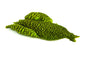Whiting 4 B's Hen Cape â€“ dealerweb-cms-72ab1eff-5145-451b-b2bc-e3bb55fce66e.jpg