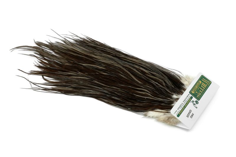 Whiting Hebert Rooster Saddle – Pro Grade â€“ dealerweb-cms-76036e6f-a798-4a69-b3a7-818087cc7e7e.jpg