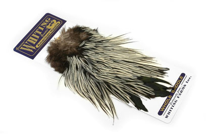 Whiting American Rooster Saddle â€“ dealerweb-cms-77bd9c6d-0dad-411b-9643-af6ed321a639.jpg