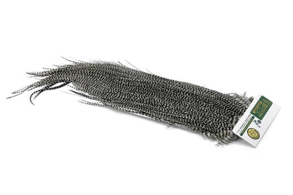 Whiting Hebert Rooster Saddle – Gold â€“ dealerweb-cms-7aee31cc-208f-496f-a836-4ce71e8b3ea5.jpg