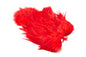 Whiting Rooster SH/C â€“ dealerweb-cms-7d1325a2-eb44-4497-a1da-41cd6e409231.jpg