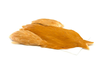 Whiting 4 B's Hen Cape â€“ dealerweb-cms-7d36948c-441f-4118-932b-7923250fe42b.jpg