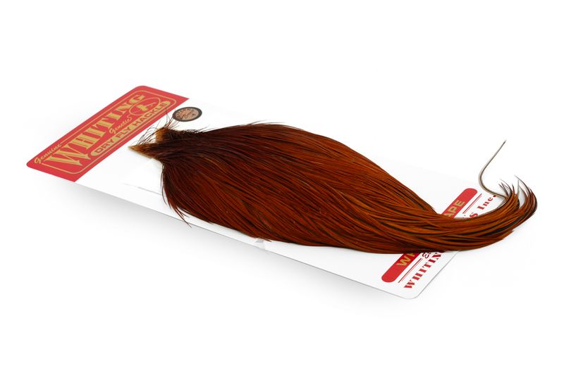 Whiting Rooster Cape – Bronze â€“ dealerweb-cms-7e2007f0-d6b1-4c63-8691-0b3c440d6858.jpg