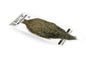 Whiting Spey Hackle Rooster Cape – Pro Grade â€“ dealerweb-cms-80c12d75-a668-43d7-800b-d3eb9a64223f.jpg