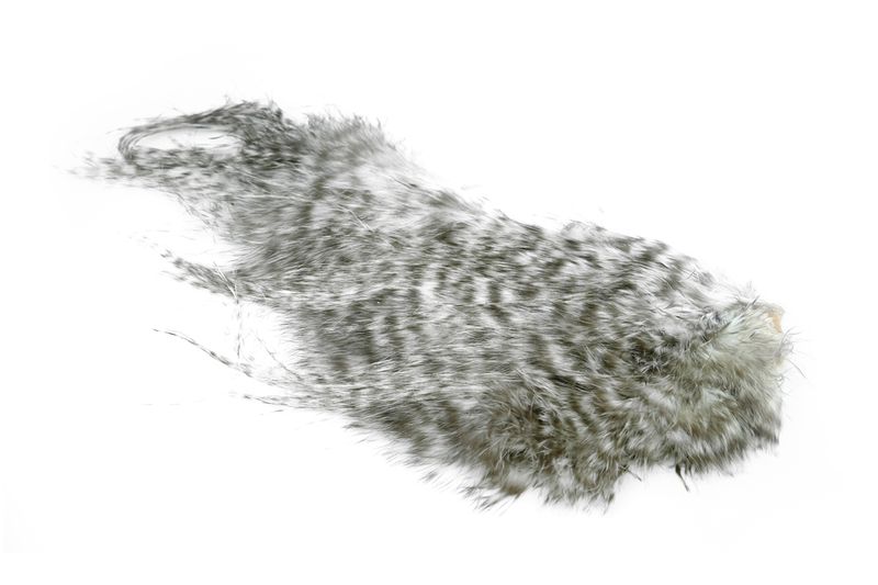 Whiting Bird Fur â€“ dealerweb-cms-8279702b-570a-49e0-b014-685ef17a1b7d.jpg
