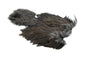 Whiting Brahma Hen SH/C â€“ dealerweb-cms-835e43c3-963f-4904-8a75-f4f2342f5b8d.jpg