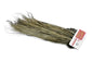 Whiting Pro Grade Midge Saddle â€“ dealerweb-cms-838927b3-8287-4e3b-9ef5-cc8c78f308c3.jpg